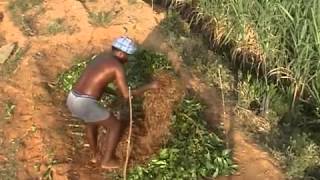 Methods of composting  Organic process of composting step by step [upl. by Carpenter]