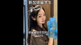 新加坡留学生vlog 该省省该花花的一天 [upl. by Enailil941]