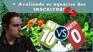 Avaliamos os aquários dos INSCRITOS 7 [upl. by Anam]