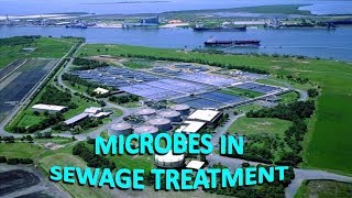 Microbes in human welfare  part 2 [upl. by Margarethe530]