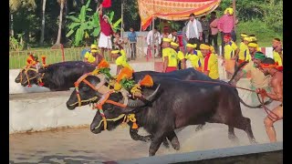 Mulki Arasu Kambala 2023 [upl. by Lunneta]