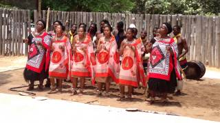 Swazis Traditional Dances 2 [upl. by Catton]