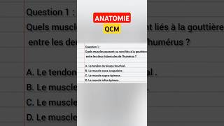 QCM  ANATOMIE [upl. by Atiuqihc837]