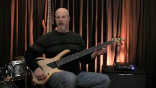 Lightwave Saber VL5 fretless bass [upl. by Laurentium532]