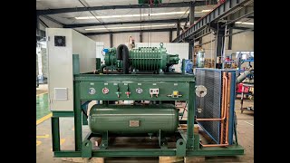 70hp Bitzer Screw Compressor Rack unit with Bitzer compressor HSN74617040p [upl. by Okire]