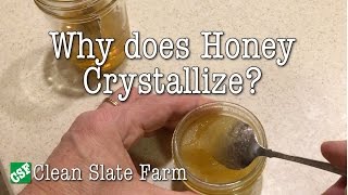 Why does honey crystallize [upl. by Neeleuqcaj93]