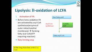 Bio lecture 20 21 Assimilation of dietary fat lipolysis B oxidation of fatty acids I II [upl. by Fowler]