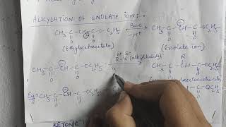 Alkylation of enolate ion [upl. by Niki291]