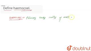 Define haemocoel  CLASS 11  BODY FLUIDS AND CIRCULATION  BIOLOGY  Doubtnut [upl. by Richardson]