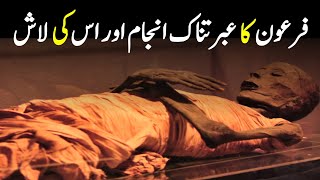 Mysteries Facts About Pharaohs Mummy  فرعون کی لاش  Firon Ka Waqia  INFOADIL [upl. by Raf]