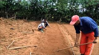 Preparation of Vegetable seed bed [upl. by John]