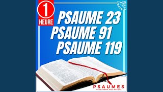 Psaume 23 Psaume 91 Psaume 119 Psaumes pour dormir avec Musique 1 Heure [upl. by Chicoine]