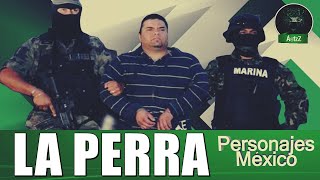 Le quitan la vida a Filiberto Parra Ramos La Perra en Tijuana [upl. by Gerrit]