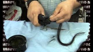 curso colocacion extensiones y cortinas cabello natural PARTE 1 [upl. by Franz998]