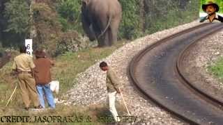 Elephant amp Railway Line Exclusive VDO Part II By Jasoprakas [upl. by Airebma]