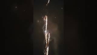 Luypaers  Colombian Oncilla  vuurwerk 35 shots cake [upl. by Matty]