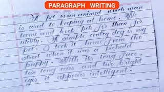 English Paragraph Writing  Neat And Clean Paragraph Writing [upl. by Iduj926]