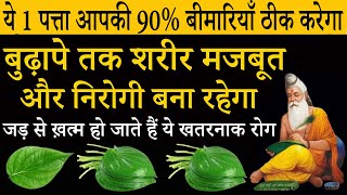 सुबह 1 पत्ता आपकी 90 बीमारियाँ ठीक करेगा  90 साल तक शरीर स्वस्थ रहेगा  Benefits Health Tips [upl. by Cleaves]