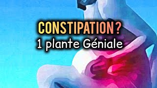 CONSTIPATION  CETTE PLANTE EST UTILE [upl. by Ileyan]