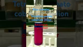 Ammonium thiocyanate test for Cobalt IIionclass 12 chemistryexperiment [upl. by Peta582]