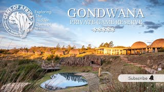 Luxury Safari Lodge near Cape Town a 4hr drive  5 Star Gondwana Private Game Reserve  BIG5 [upl. by Senilec775]