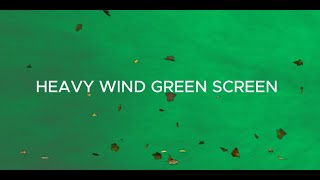 Heavy Wind Storm Green Screen Effects [upl. by Henrion]