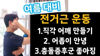 날개뼈위치 교정 전거근운동 어깨충돌증후군 직각어깨 견갑프레임 [upl. by Cyrano]