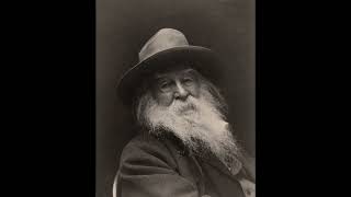 Walt Whitman  Democratic Vistas Literature [upl. by Nnylirej306]