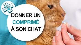 Tuto véto Comment donner un médicament à son chat  Conseils vétérinaires [upl. by Odey]