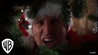 National Lampoons Christmas Vacation  Squirrel Scene  Warner Bros Entertainment [upl. by Coveney]