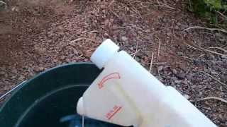 DIY termite extermination [upl. by Tolman717]