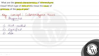 What are the general characteristics of sclerenchyma tissue Which type of cells of this tissue [upl. by Hepzi368]