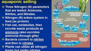 Testing the waterBasic Water Quality Testing for Aquaponic Systems [upl. by Horatio]