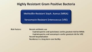 Antibiotics for Gram Positive Infections Antibiotics  Lecture 4 [upl. by Reginald857]