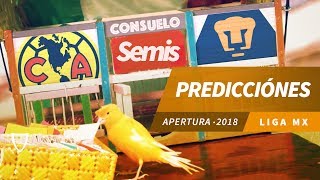 Pronóstico Semifinal Liga MX Apertura 2018  Predicciones Liga MX  Quiniela Futbol 2018 [upl. by Yantruoc]