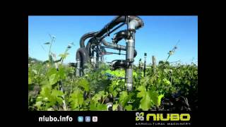 Nebulizador mod Octopus Plus trabajando en viña con tractor Ferrari  Niubo Machinery [upl. by Littman]