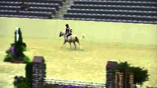 Video of BERNADETTE CHUNGUNCO ridden by BERNADETTE CHUNGUNCO from ShowNet [upl. by Umberto]