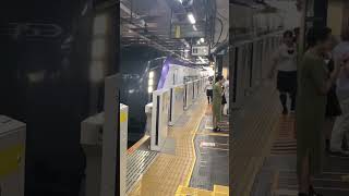 御茶ノ水駅 ホームドアのあるホームを特急列車E353系通過 [upl. by Mond]