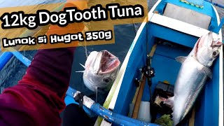 12kg DOGTOOTH TUNA on fast retrieve [upl. by Krantz763]