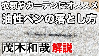 衣類やカーテンなど綿についた油性ペン跡の落とし方！【茂木和哉解説】 [upl. by Forlini]