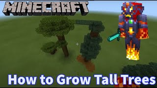 Minecraft How to Grow Tall Trees [upl. by Amadis889]