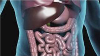 Nutritional Health  How to Clean Your Colon by Fasting [upl. by Ahsieuqal570]