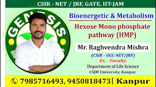 Hexose Mono phosphate pathway HMP CSIRUGCNETJRF LIFE SCIENCEGATEDBTICMR [upl. by Bully592]