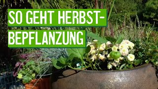 Herbstbepflanzung für Kästen und Kübel [upl. by Yemrej]