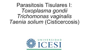 Trichomonas Vaginalis  Parásitos Tisulares Tricomoniasis [upl. by Base299]