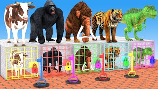 Dont Choose The Wrong Key wit Cow Mammoth Elephant Gorilla Tiger TRex Escape from The Color Prison [upl. by Neilson]