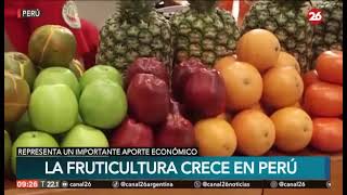 La Fruticultura crece en Perú [upl. by Eadas]