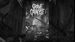 Grave Catalyst  Grindcore Goregrind cybergrind Deathgrind metal2024metal metalhead [upl. by Naara849]