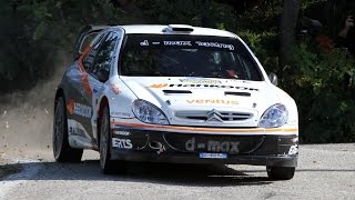 Rally Legend 2014  WRC invasion  Pure Sound [upl. by Wyck]