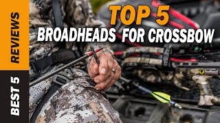 ✅ Top 5 Best Broadheads For Crossbow 2022  Tested amp Reviewed [upl. by Lovel]